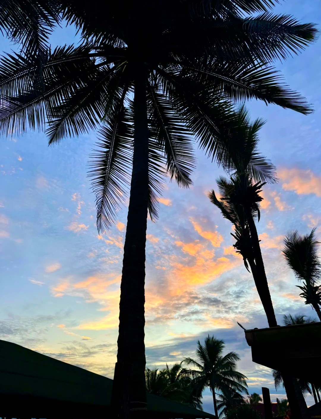 气候变化重创利比里亚:反常雨季破坏农业,威胁沿海生存