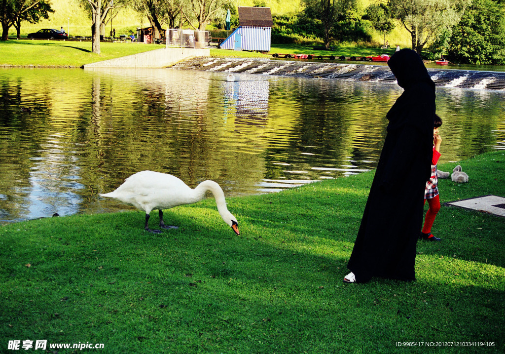 共创草坪获得外观设计专利授权：“玩偶（天鹅）”