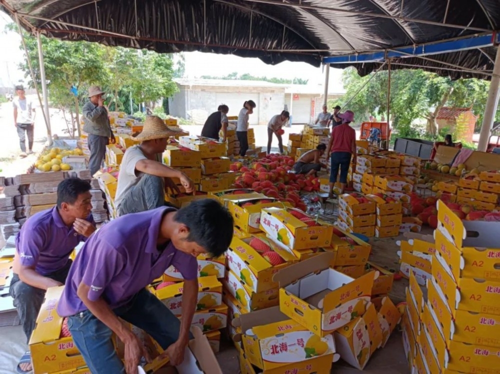 桂发祥：2025年预亏2300万元―2600万元 同比由盈转亏