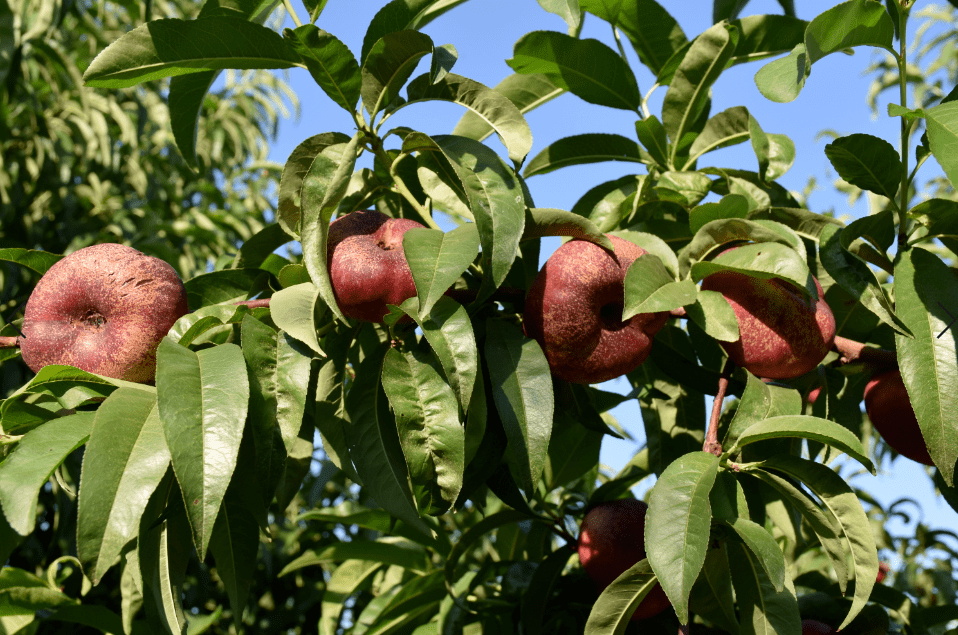 永兴股份获准发行30亿元科创债 绿色融资有望助力增厚业绩
