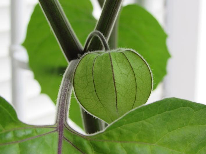 政策持续加码推动建材行业绿色转型：蒙娜丽莎树标杆，获《人民日报》头版点赞