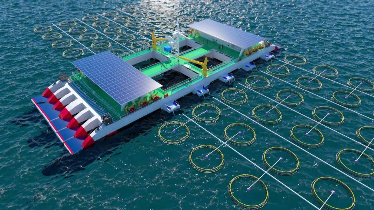 利比里亚国家渔业与水产品局代理局长承诺加强治理与保护海洋资源