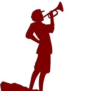 染料价格上涨带动股价连涨 万丰股份提示风险