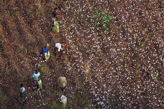 加纳矿业商会警告新税改或冲击矿业投资与就业