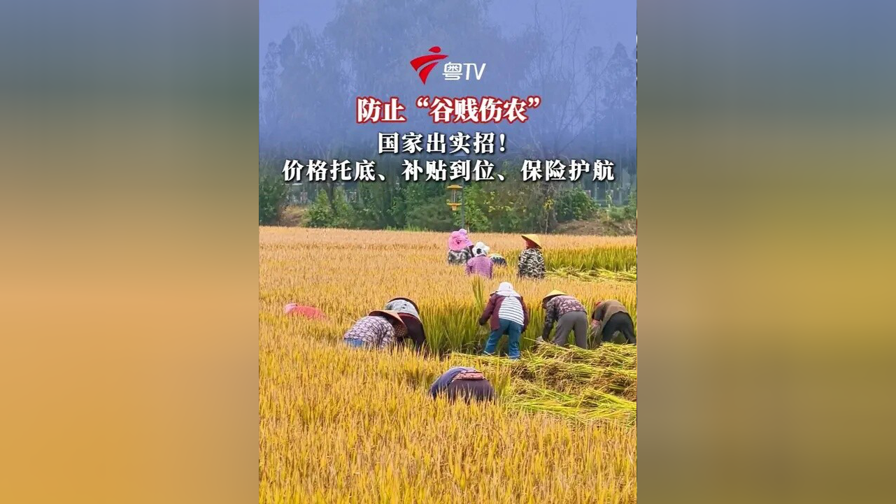 中央财办副主任祝卫东：强化县域富民产业项目统筹规划 防止陷入同质化、“内卷化”竞争