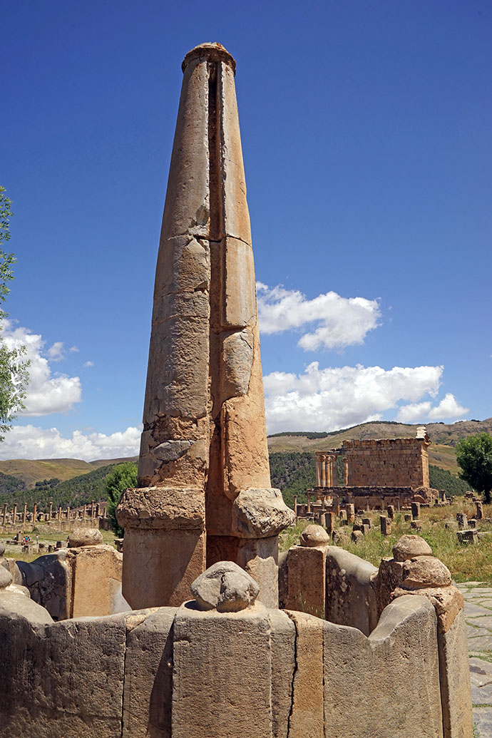 阿尔及利亚与印度尼西亚探讨加强农业和渔业合作