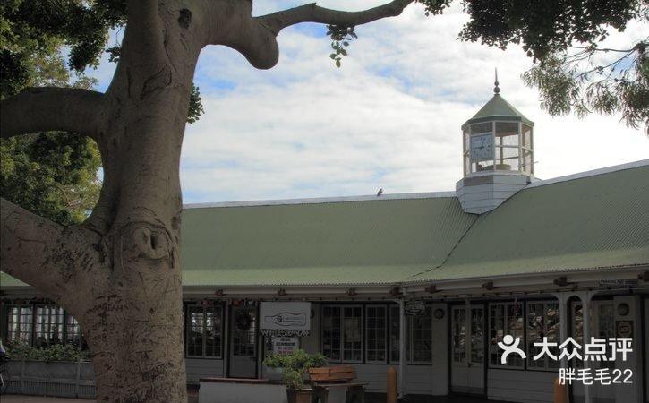 开普敦港口严重延误重创南非水果出口