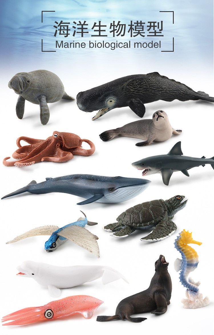 海洋大模型“飞鱼-1.0”发布 助力智能化预报