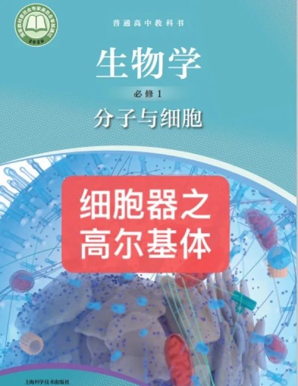 天合光能公布国际专利申请：“基于苯并三氮唑类化合物的转光膜及其制备方法和应用”