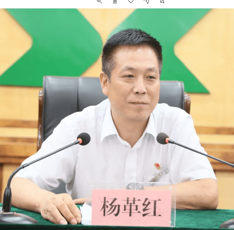 哈尔滨银行推“对赌式”清收加速风险出表，资产质量与资本压力并存