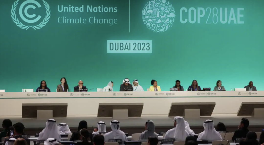 阿联酋发布智能监管白皮书