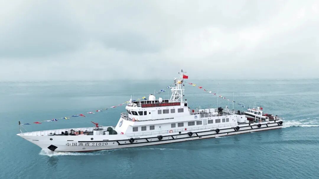 江龙船艇：2月10日高管贺文军减持股份合计30万股