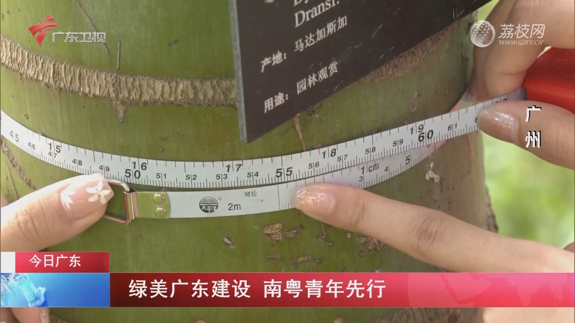 广东南粤绿美生态投资基金成立，出资额15亿元