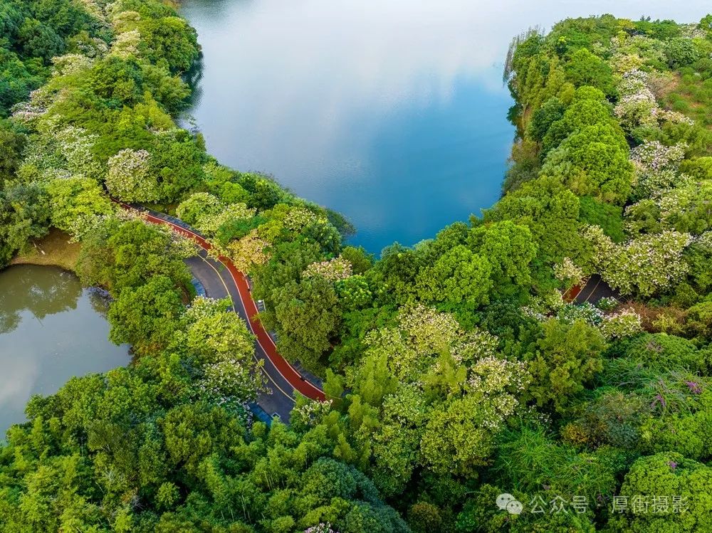 广东南粤绿美生态投资基金成立，出资额15亿元