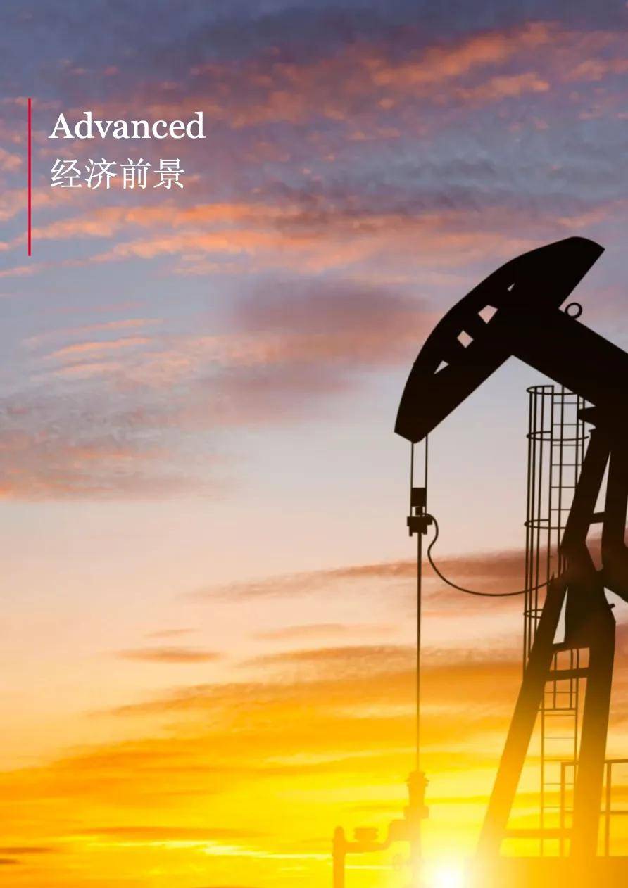 中国人民银行副行长宣昌能出席第二届新兴市场经济体研讨会