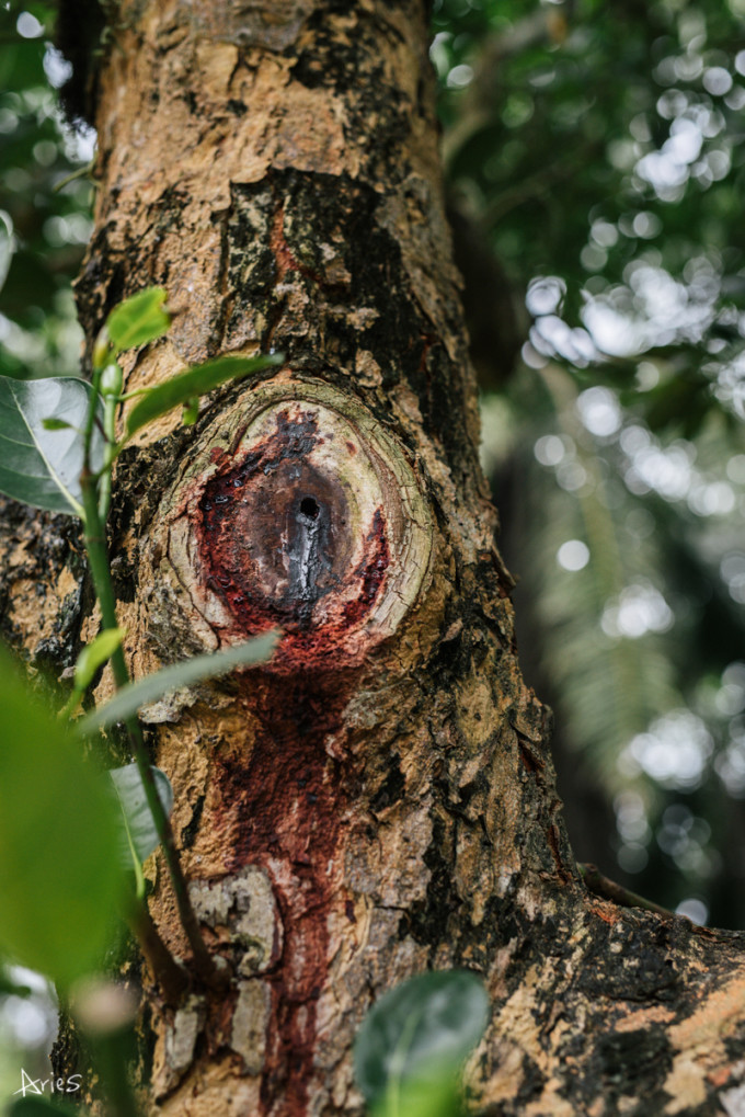 科学界神雕侠侣，“吵”出一款世界级新药