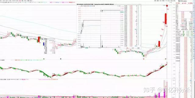 国风新材2月13日龙虎榜数据