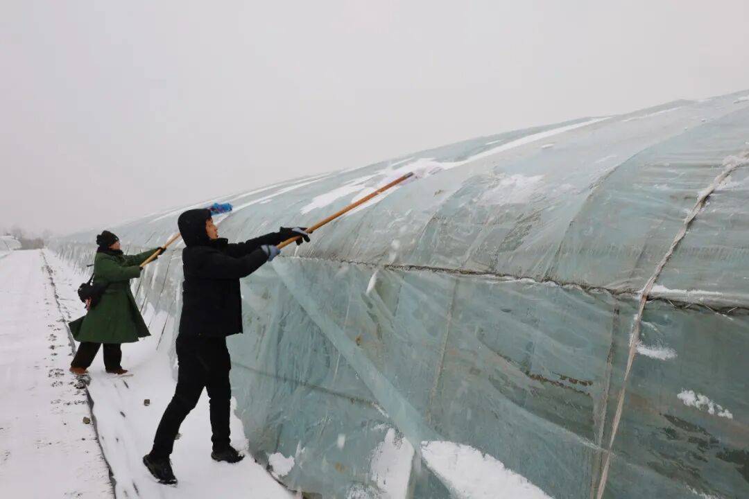 中国游客称因道路积雪,被困俄罗斯“极光村” 超40小时!有游客被安置在学校,安置点提供食物和热水,俄媒:滞留游客都已离开