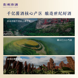 贵州：引导省属国有企业优质资源向重点领域集中 在白酒等领域培育世界500强企业