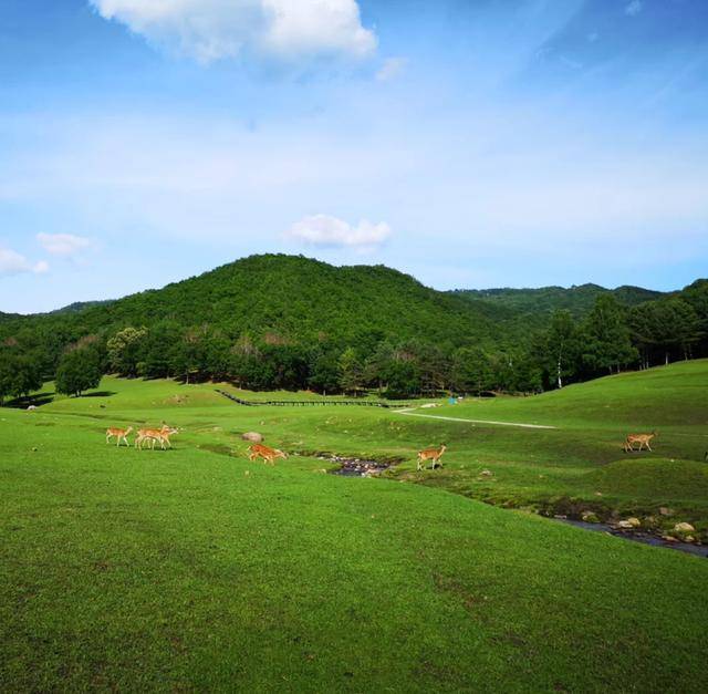 扶余：一座东北小城的转身｜故乡里的中国