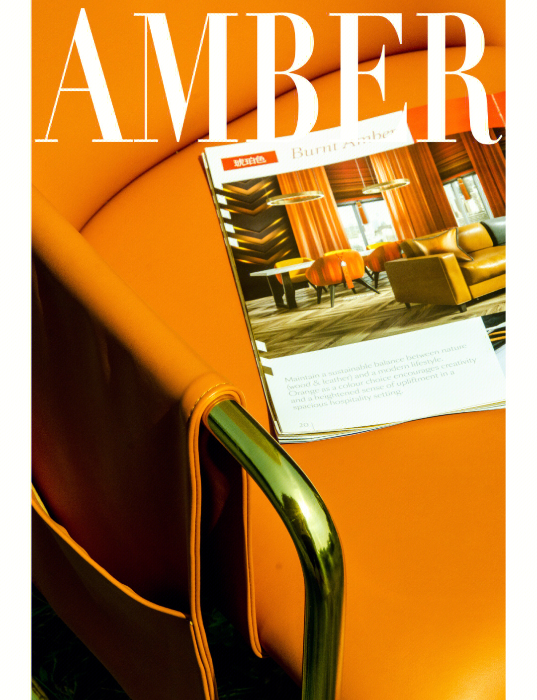 高度复杂但极具吸引力和重要性!特朗普最新发文:将启动解密UFO与外星生命相关政府文件