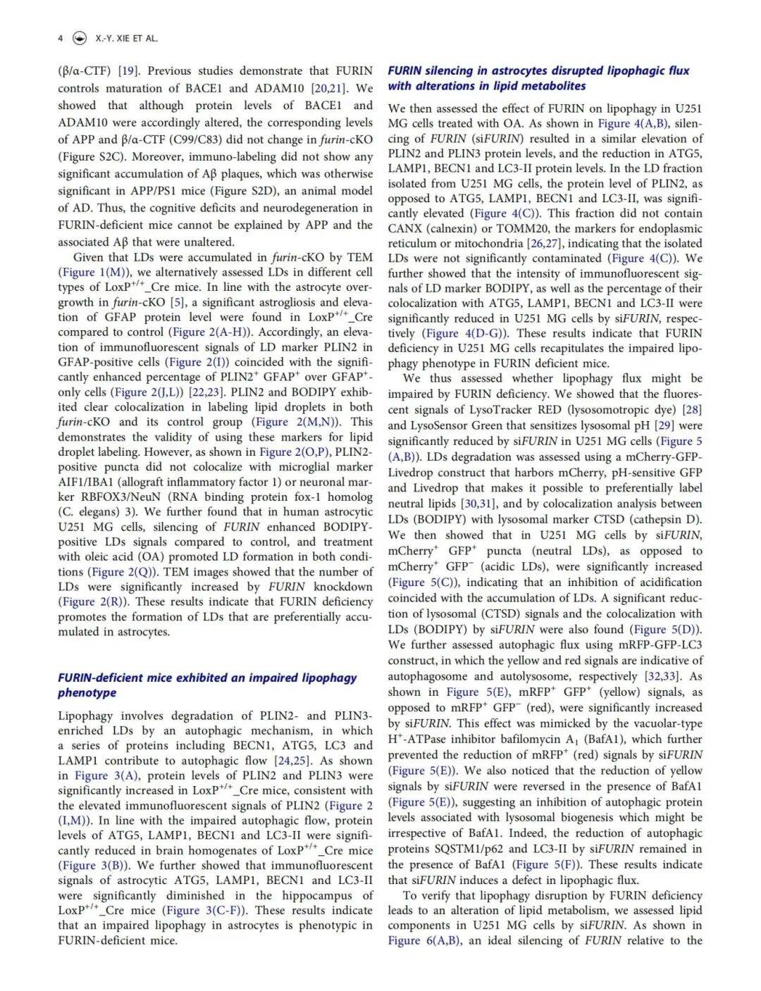 研究显示改善空气质量或有助于预防阿尔茨海默病