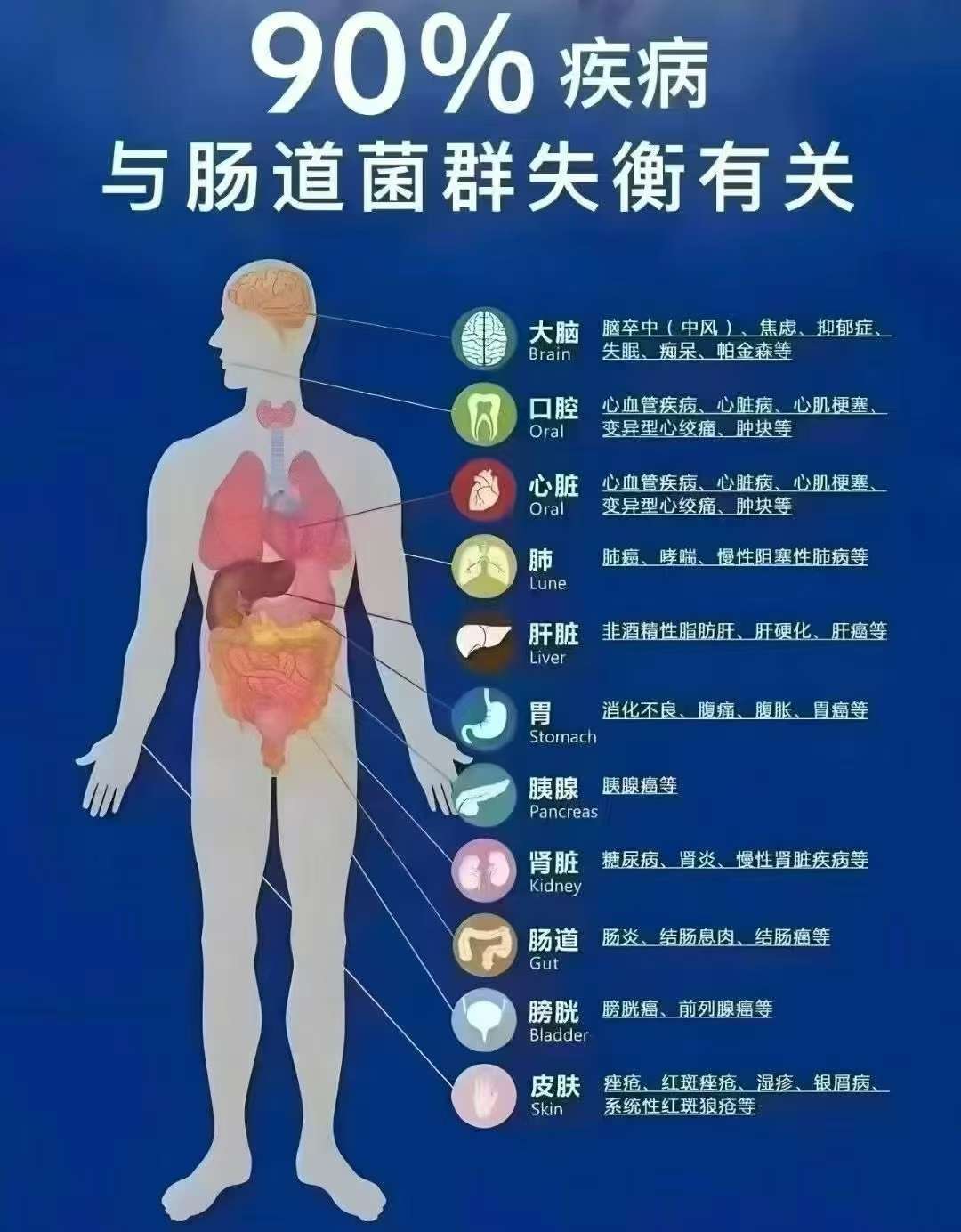 研究揭示一类“隐秘”肠道细菌有益健康