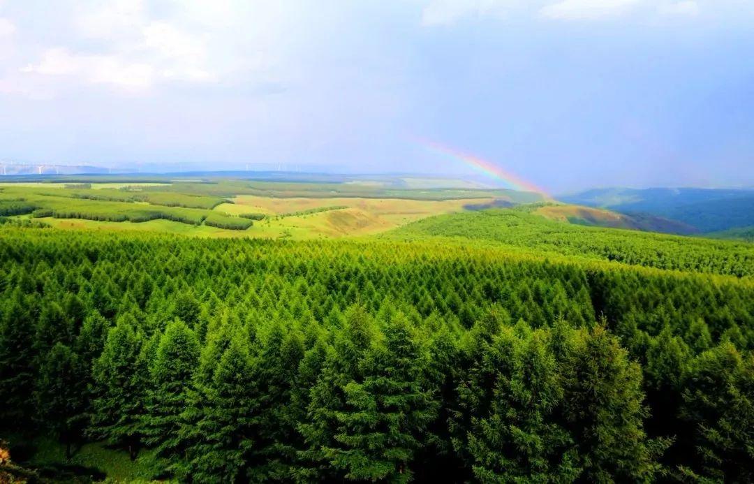 税收数据显示:我国经济社会绿色转型加速推进