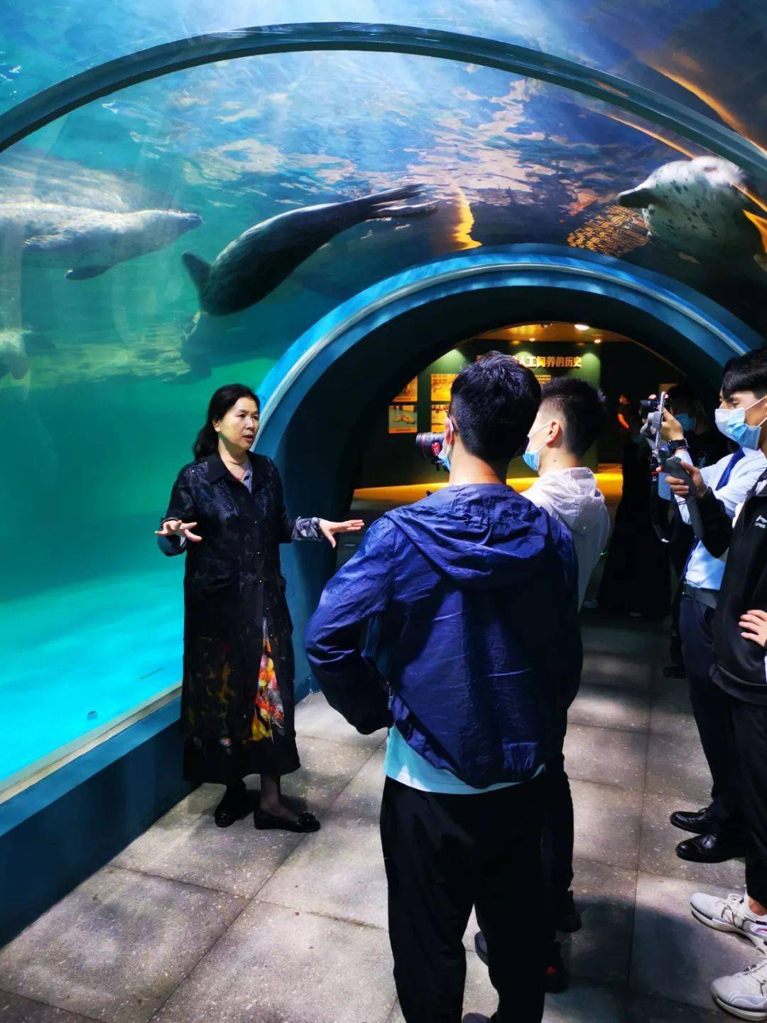 亚盛集团成交额创2020年8月20日以来新高