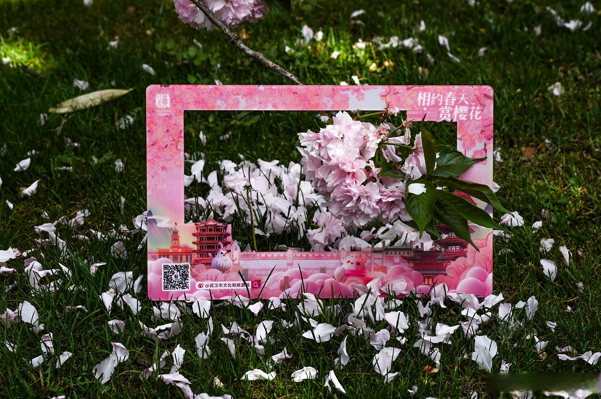 武汉将推出五大系列316项活动“相约春天赏樱花”