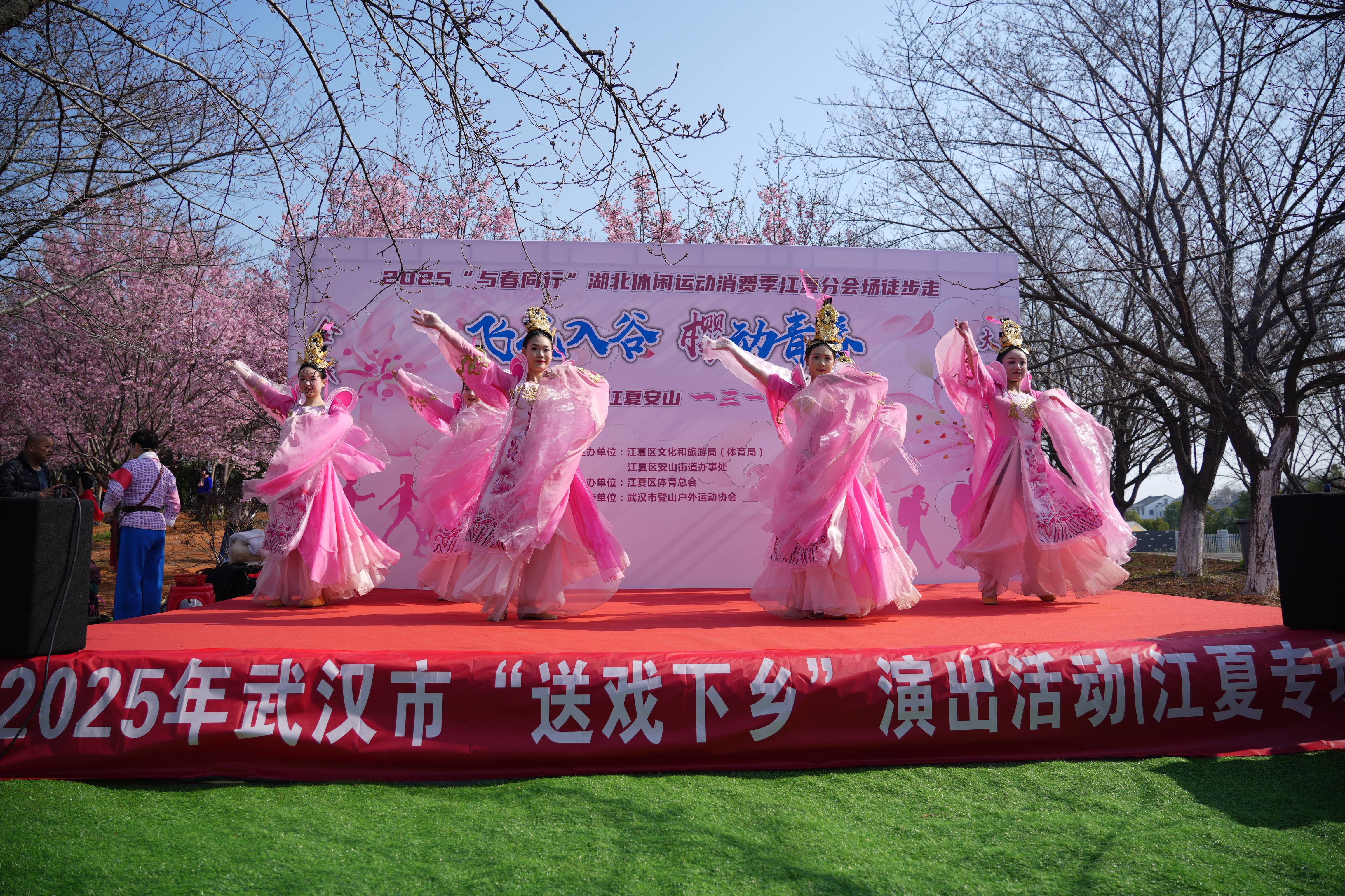 武汉将推出五大系列316项活动“相约春天赏樱花”