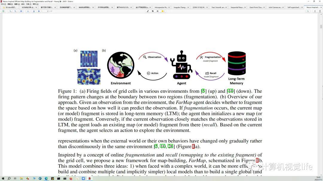 生物游动机制为研发给药机器人提供新思路