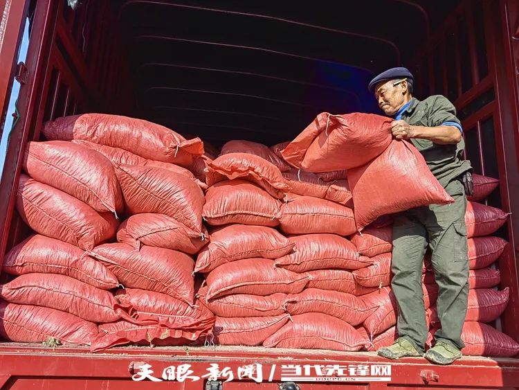 全国人大代表耿遵珠：应将农村秸秆与畜禽粪污变废为宝