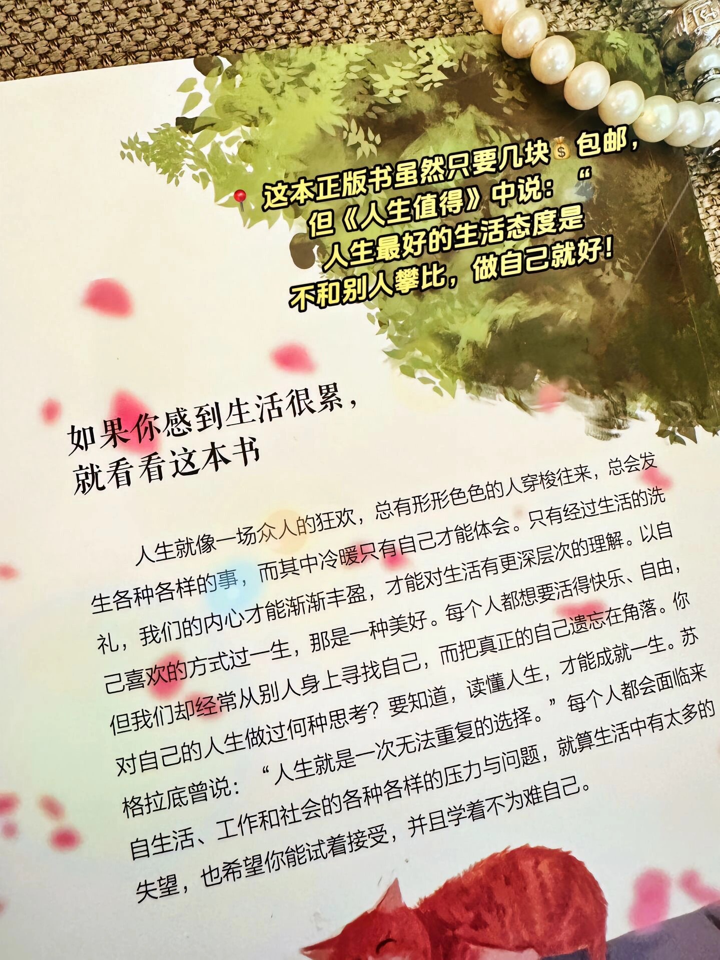 2026年最治愈的4句话，送给很累很累的你