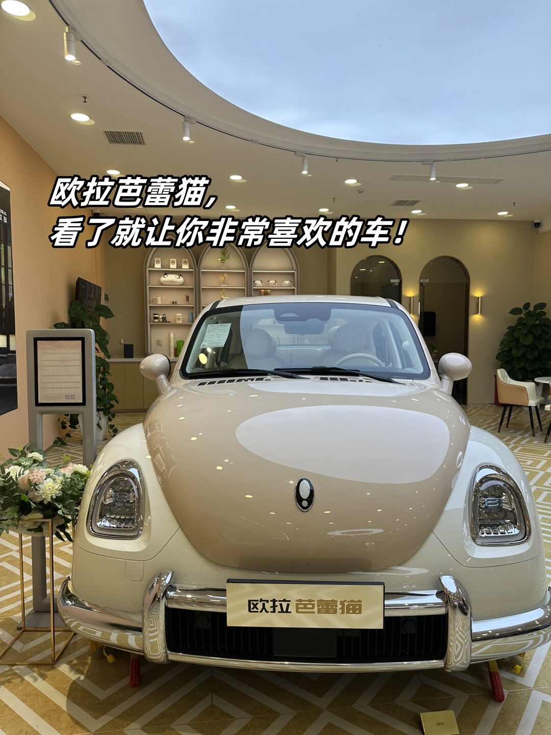 撕掉“女性”标签，欧拉要做“全球时尚精品汽车”