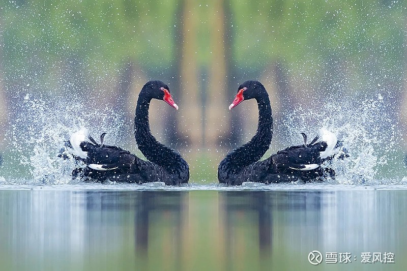 立方风控鸟·晚报（3月13日）