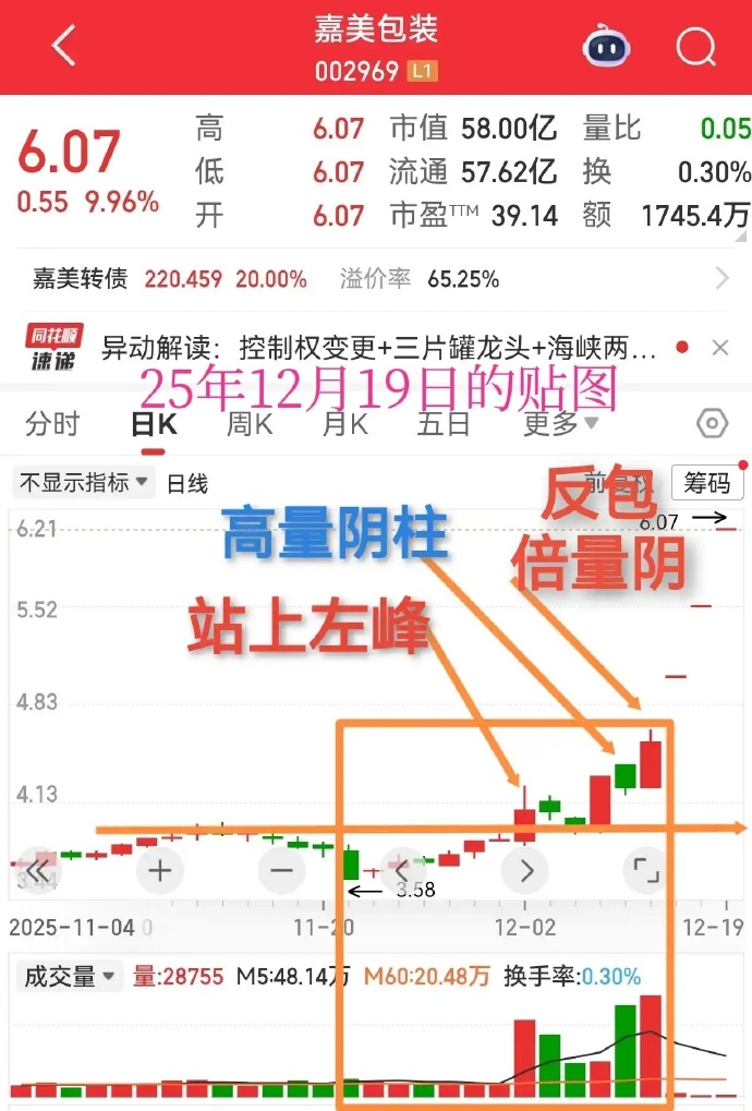 嘉美包装3月13日龙虎榜数据