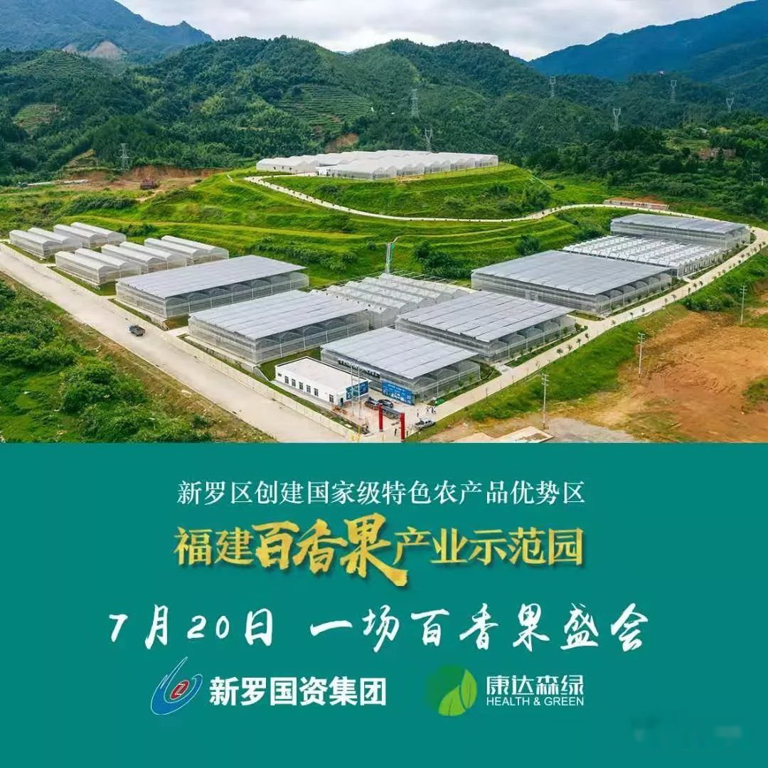 浙江：深入推进浙南早茶等农业领域国家优势特色产业集群建设