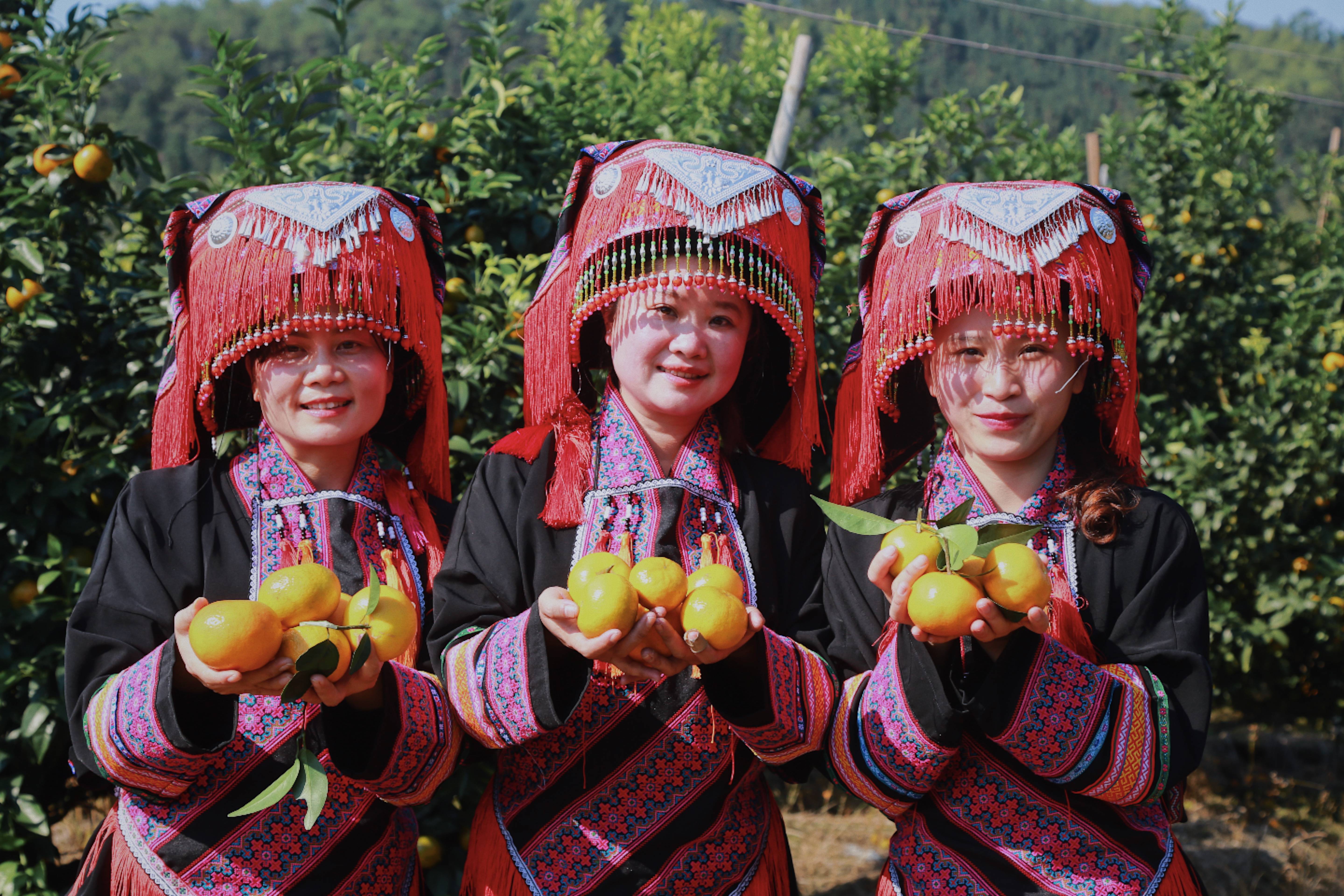 老区新产业丨井冈山下千亿“数智”产业星火燎原