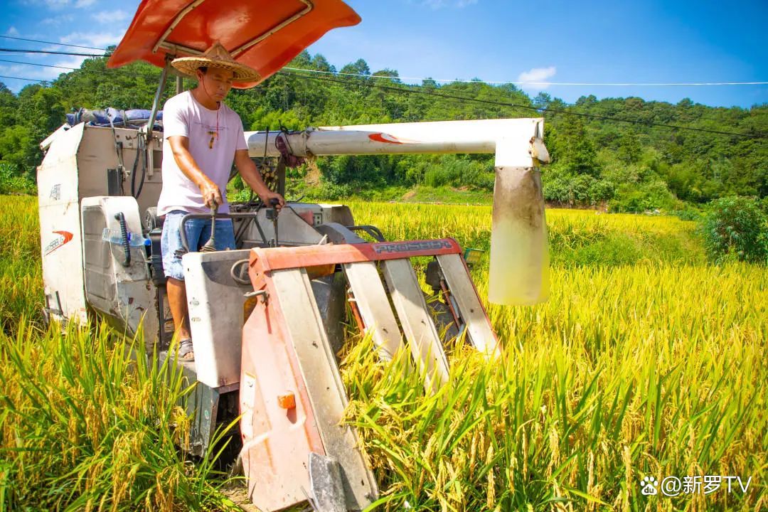 数千万元收入却形成超5亿元应收款 湘邮科技被立案调查背后:三大疑问待解