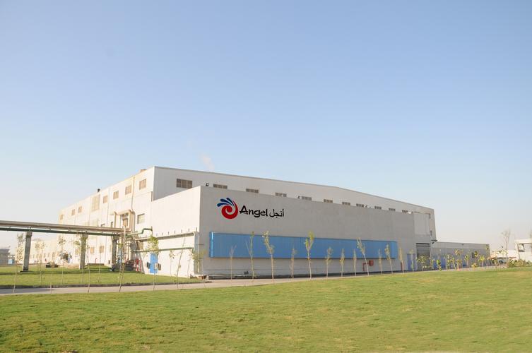 安琪酵母获得发明专利授权：“一种适用于盐碱土的微生物制剂及其制备方法和应用”