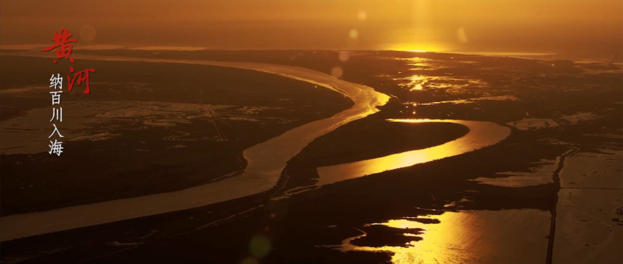 纳百川3月23日龙虎榜数据