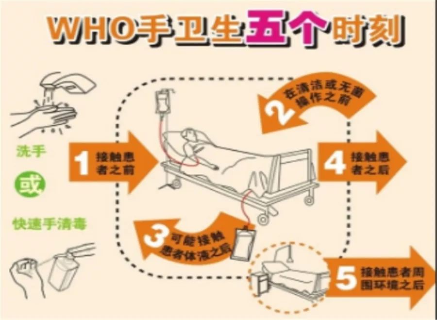 研究显示新技术可快速检测细菌耐药性