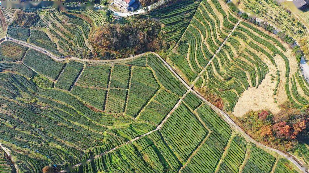 贵阳银行推出80亿绿色金融债融资计划