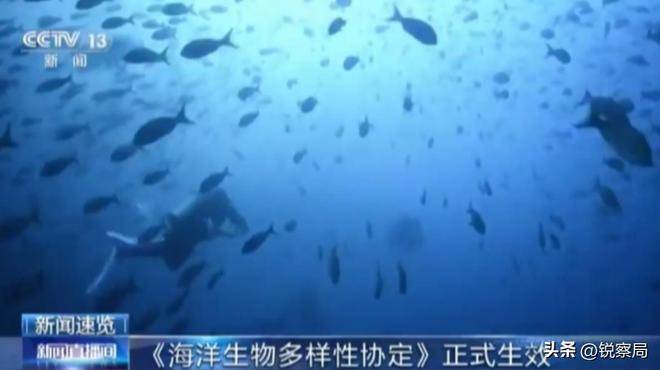 联合国警告称，美以伊冲突推高全球食品价格