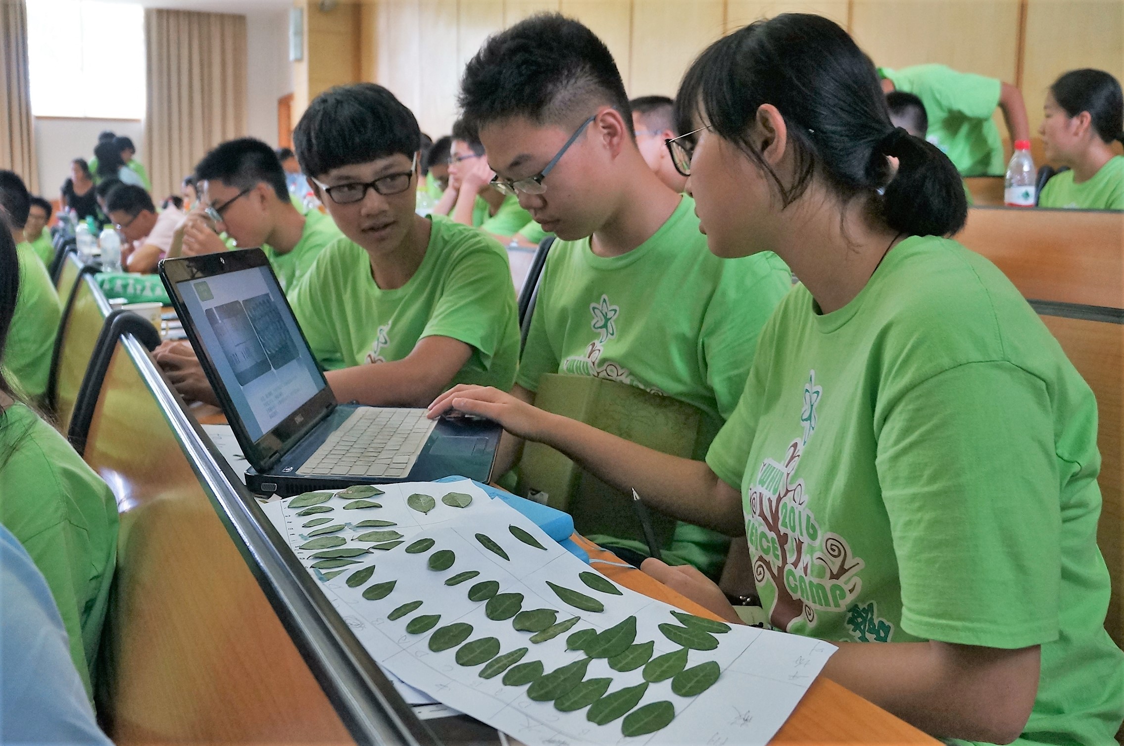 中国银行牵头主承销南方电网绿色科技创新债券