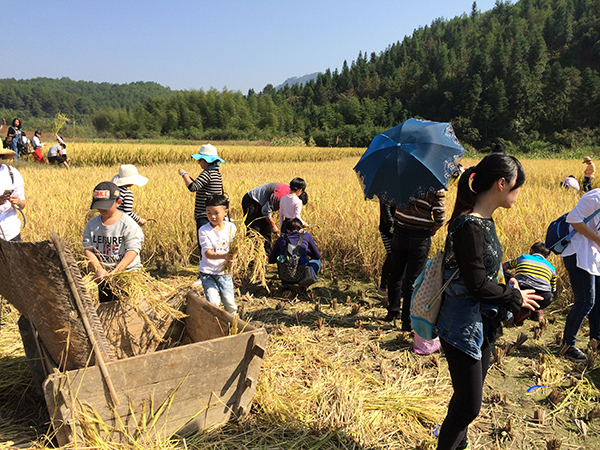 旅游与农业双重加持，东部经济走廊信心指数强势登顶